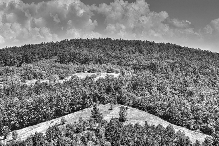 Jedan drugi svet: crno-bela fotografija